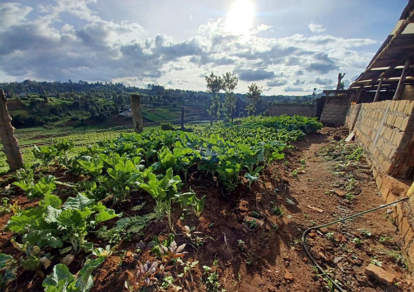 2-Acre Farm with Garden for Rent at KSh 120K