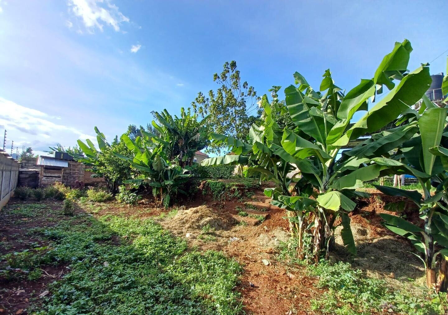 2-Acre Farm with Garden for Rent at KSh 120K