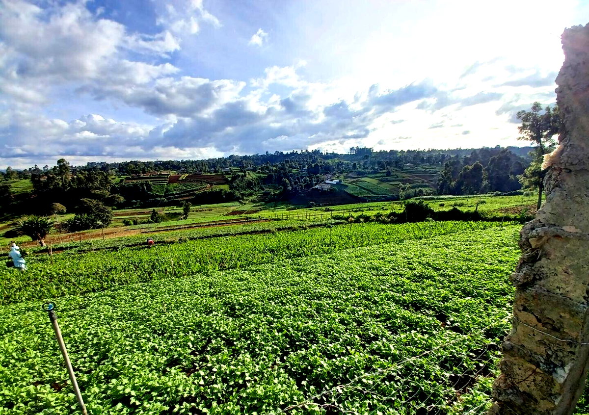 2-Acre Farm with Garden for Rent at KSh 120K