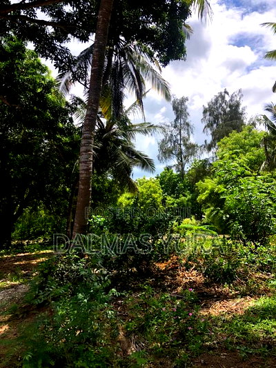 3/4 of an Acre at Dongokundu in Watamu - Image 6