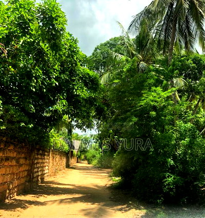 3/4 of an Acre at Dongokundu in Watamu - Image 5