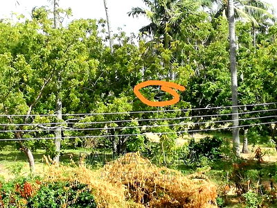 3/4 of an Acre at Dongokundu in Watamu - Image 4