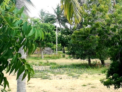 3/4 of an Acre at Dongokundu in Watamu - Image 3