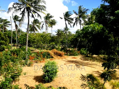 3/4 of an Acre at Dongokundu in Watamu - Image 1