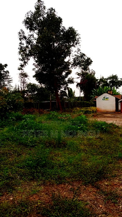 Prime Commercial Land 1.5 Acres, Ridgeways - Image 5