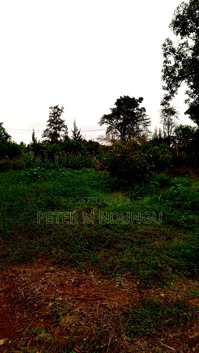 Prime Commercial Land 1.5 Acres, Ridgeways - Image 6