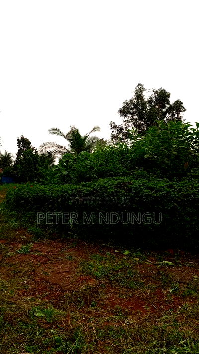 Prime Commercial Land 1.5 Acres, Ridgeways - Image 7