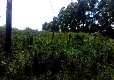 1-Acre Plot Along Waiyaki Way for KSh 55M