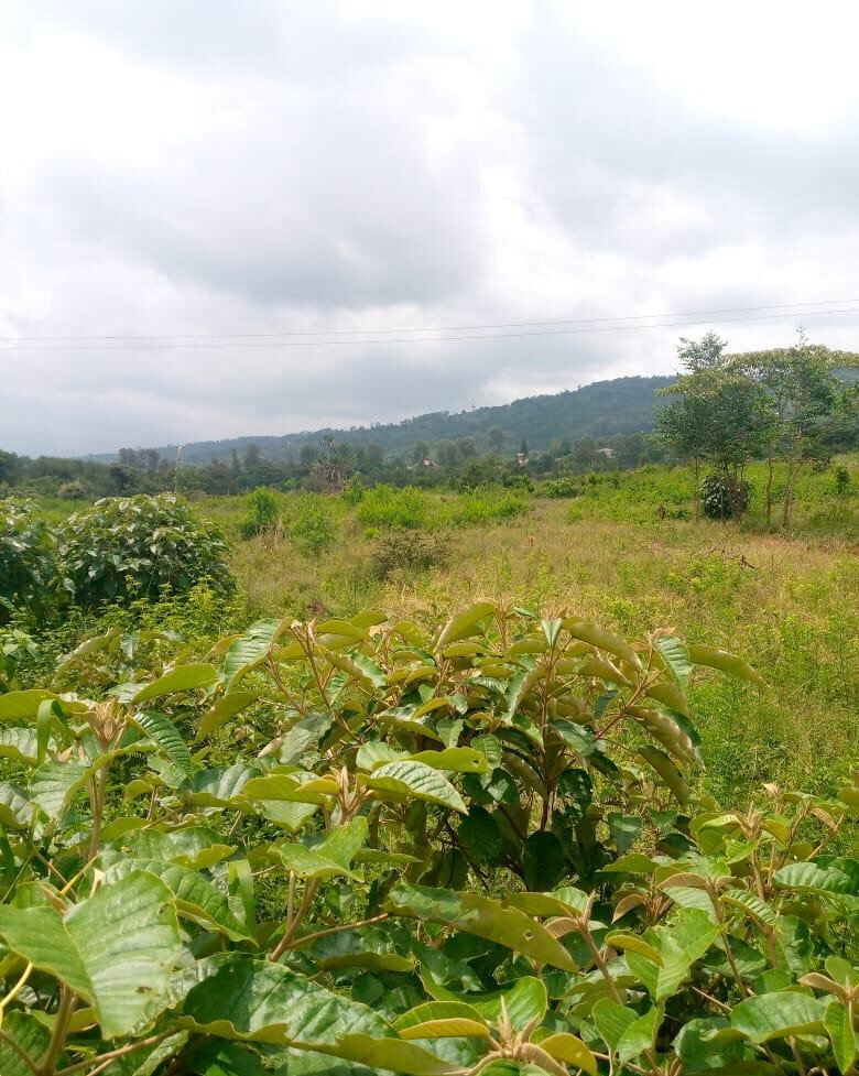 7.5-Acre Garden Plot in Machakos Town