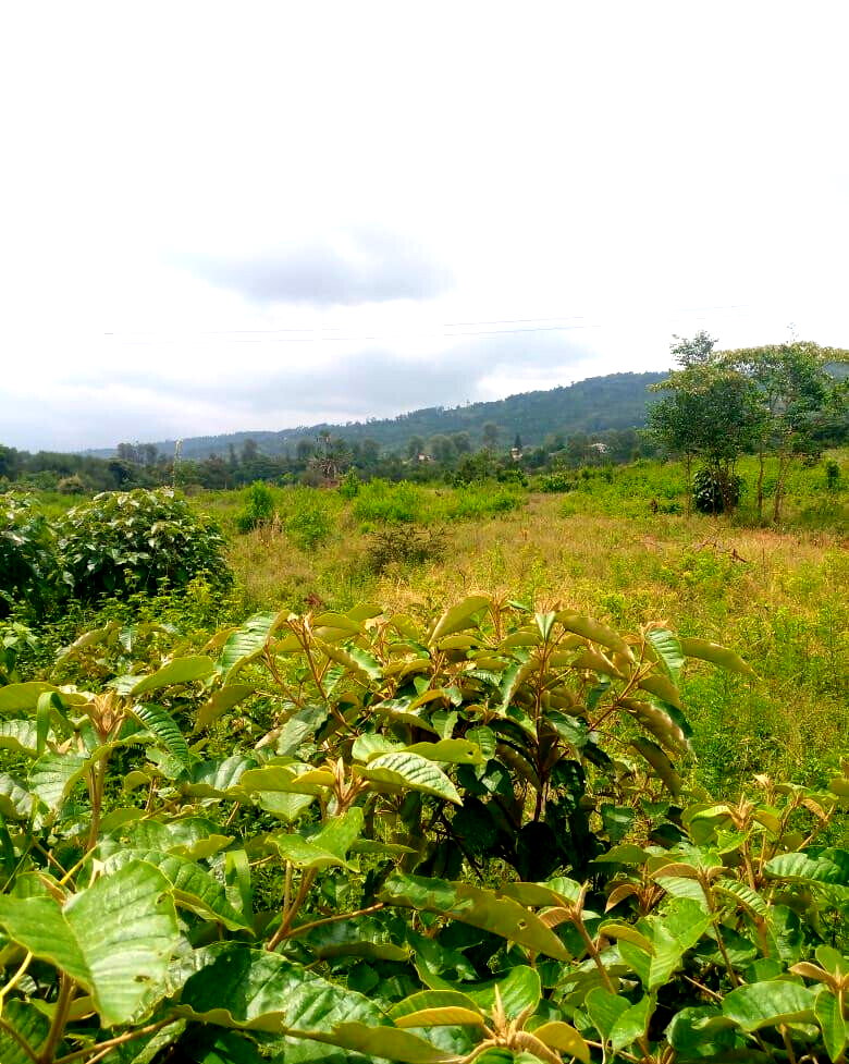 7.5-Acre Garden Plot in Machakos Town