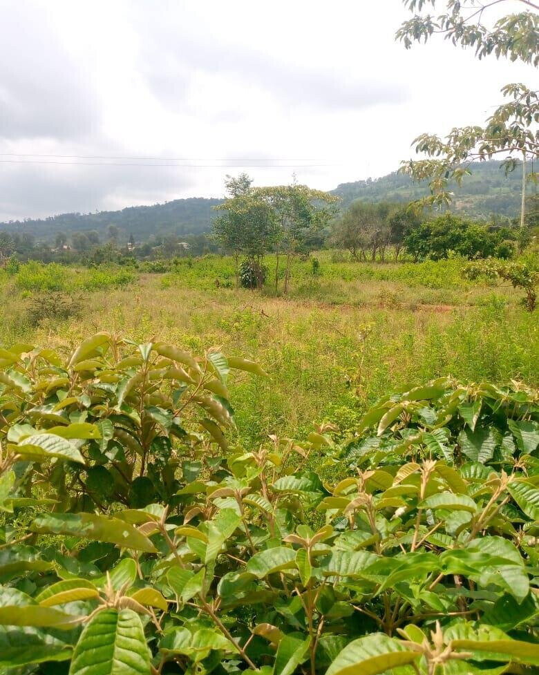 7.5-Acre Garden Plot in Machakos Town