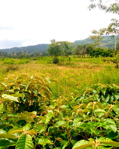 7.5-Acre Garden Plot in Machakos Town