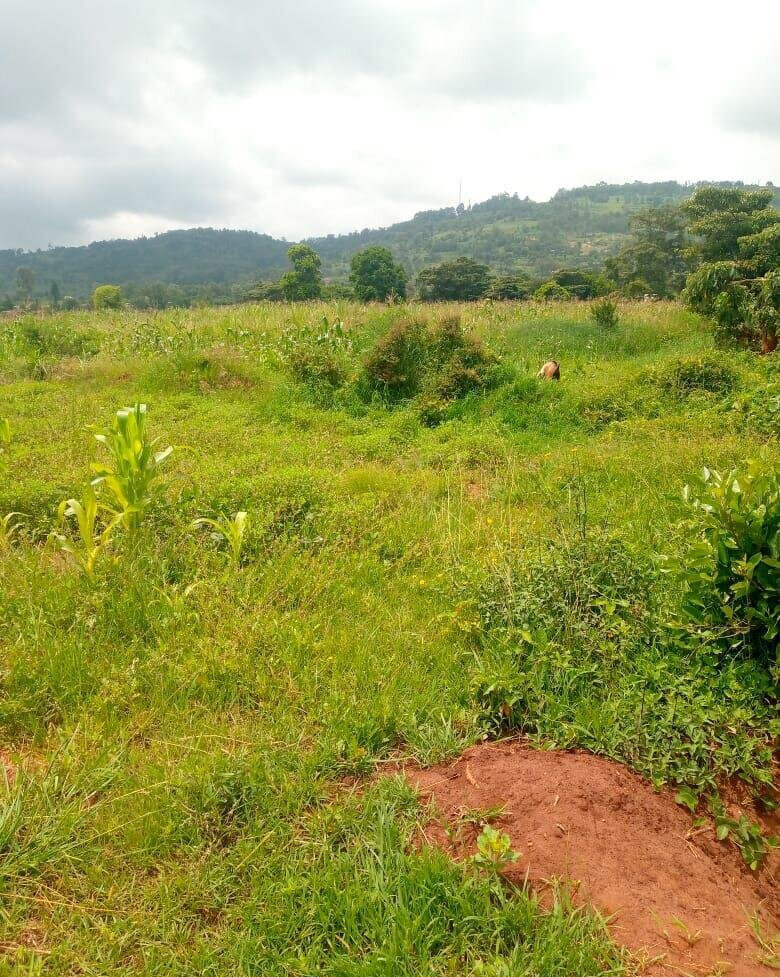 7.5-Acre Garden Plot in Machakos Town