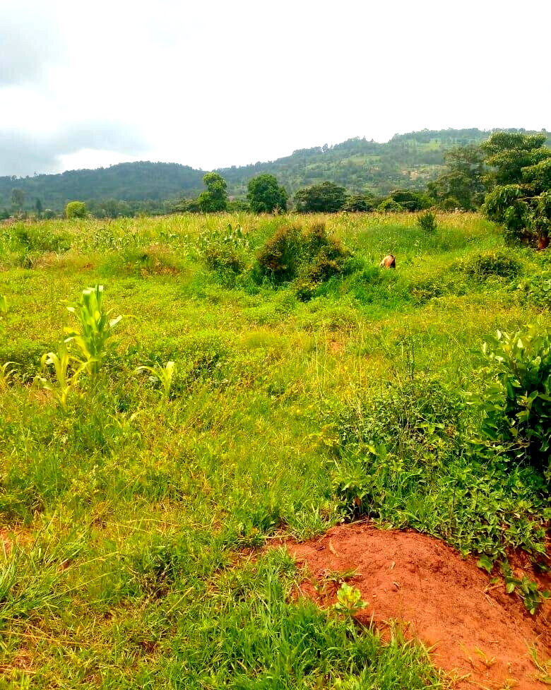 7.5-Acre Garden Plot in Machakos Town