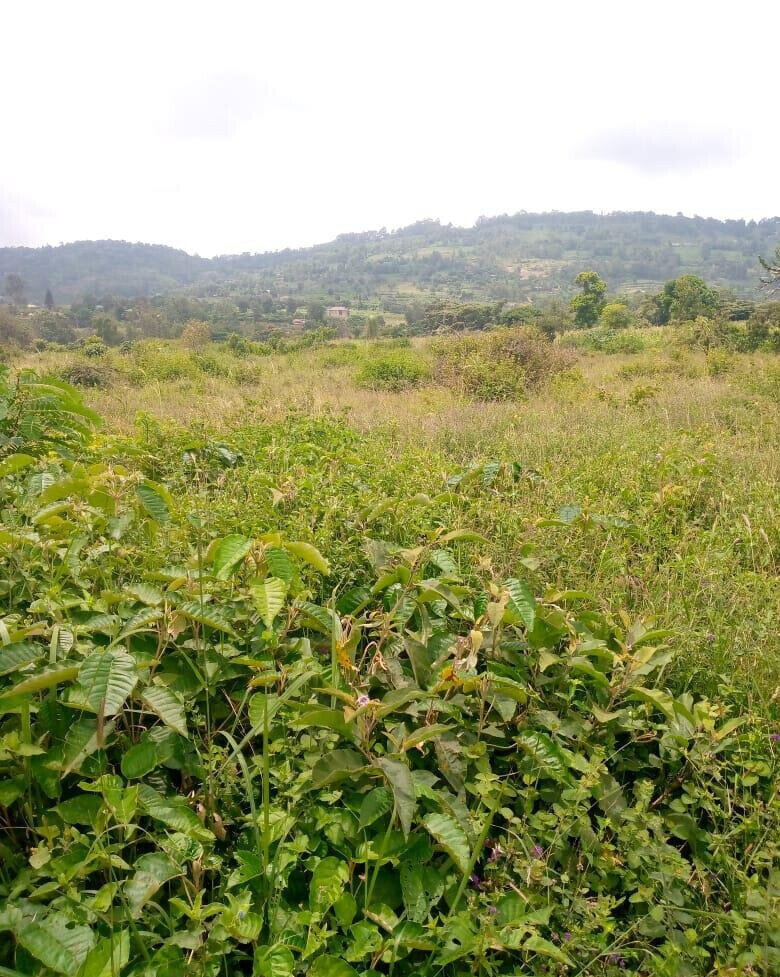 7.5-Acre Garden Plot in Machakos Town