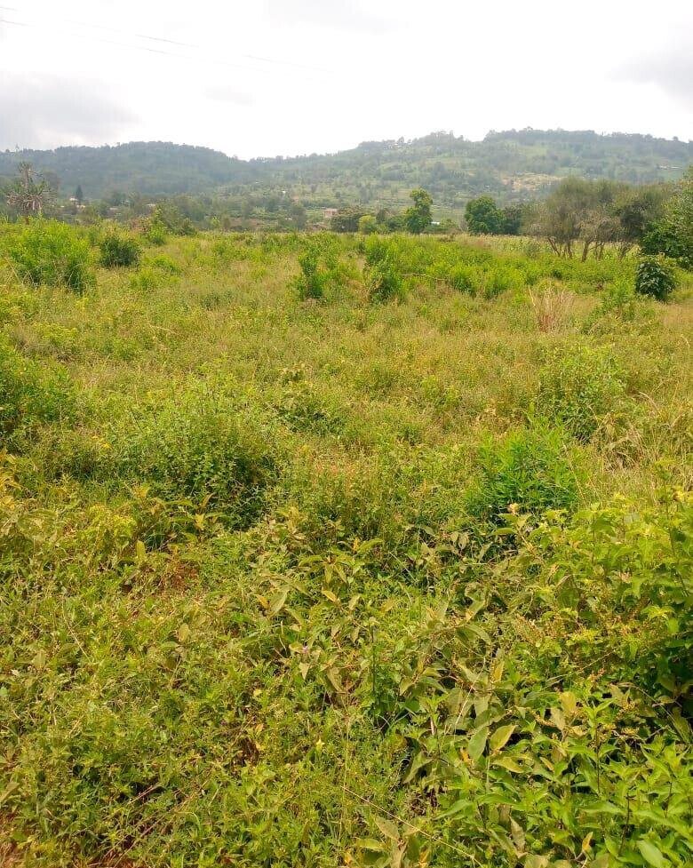 7.5-Acre Garden Plot in Machakos Town
