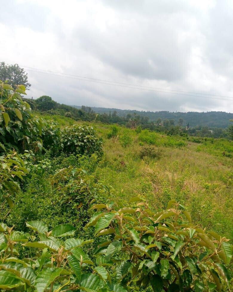 7.5-Acre Garden Plot in Machakos Town