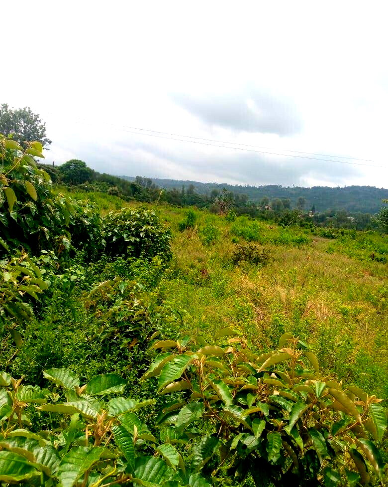 7.5-Acre Garden Plot in Machakos Town