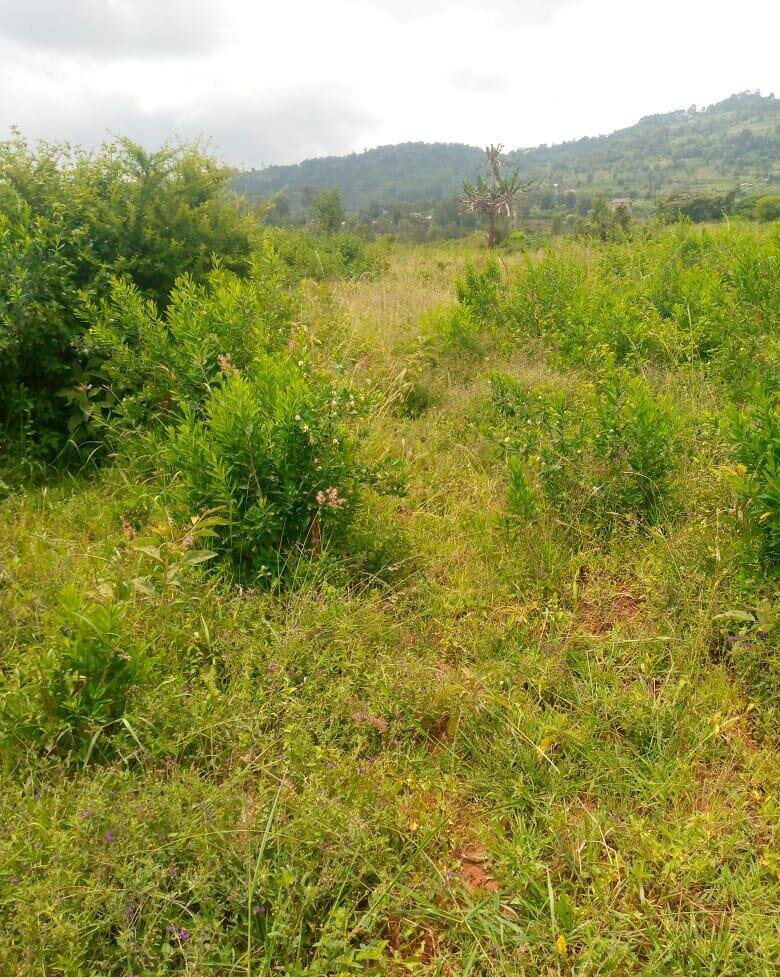 7.5-Acre Garden Plot in Machakos Town