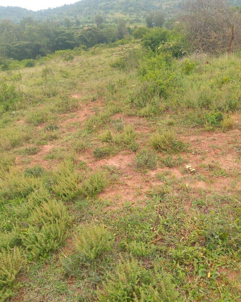 7.5-Acre Garden Plot in Machakos Town