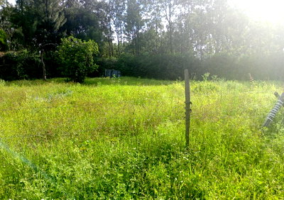 100x100 Plot for KSh 7.5M