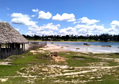 30-Acre Coastal Land at KSh 2.5M