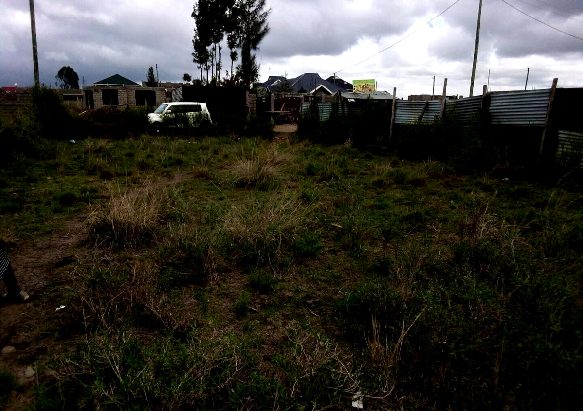 Ready Title 40x80 Plot at KSh 2.2M