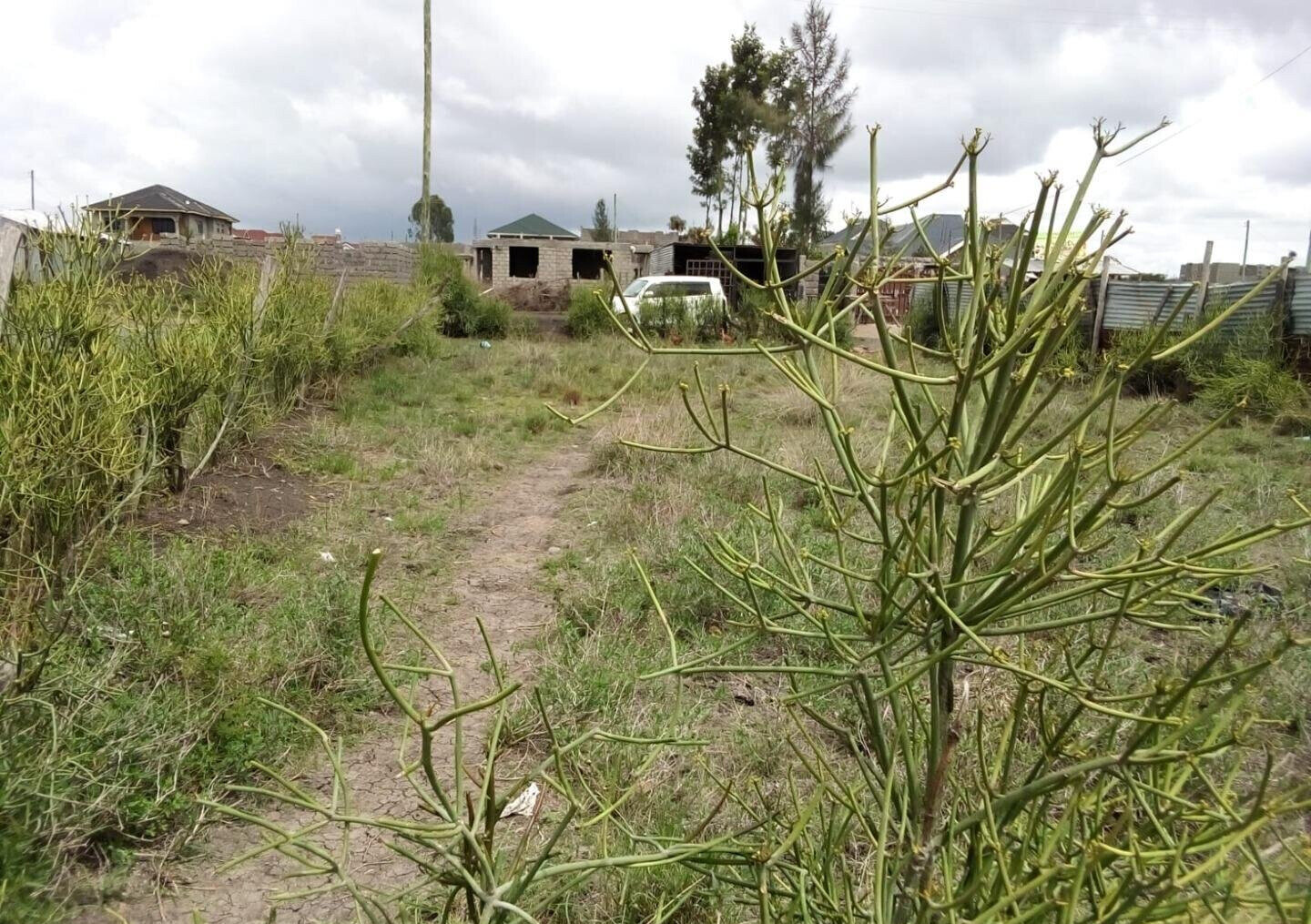 Ready Title 40x80 Plot at KSh 2.2M