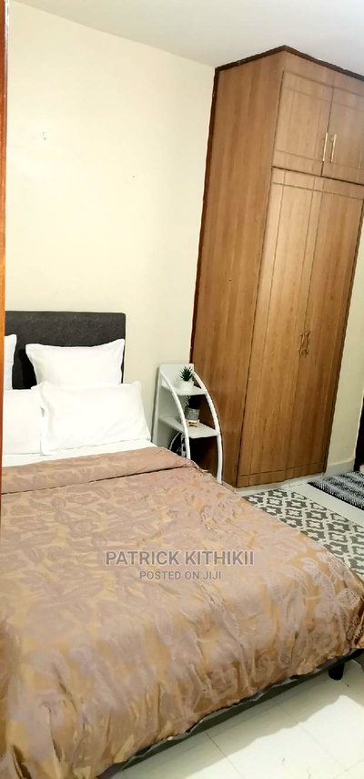 Furnished 3bdrm Apartment in Jeans Park, Raphta Road Area for rent - Image 10