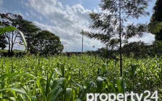 Kitisuru 0.5-Acre Plot at KSh 49M