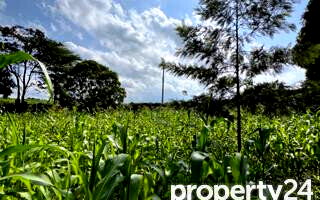 Kitisuru 0.5-Acre Plot at KSh 49M