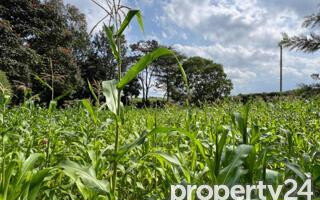 Kitisuru 0.5-Acre Plot at KSh 49M