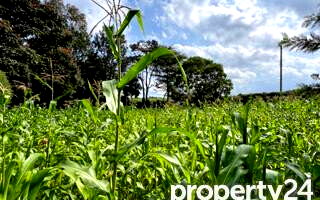 Kitisuru 0.5-Acre Plot at KSh 49M