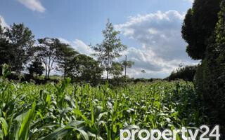 Kitisuru 0.5-Acre Plot at KSh 49M