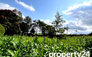 Kitisuru 0.5-Acre Plot at KSh 49M
