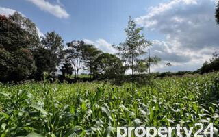 Kitisuru 0.5-Acre Plot at KSh 49M