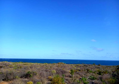 1/8 Acre Garden Plot with Parking - Malindi