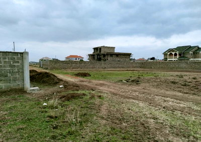 Quarter Acre Plot with Garden in Kiambu