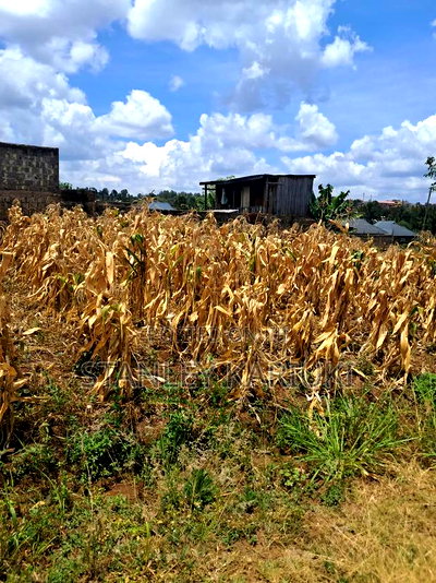 Githanji Estate Prime Plots Kenol - Image 2