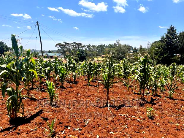 Prime Commercial Plot For Sale In Kikuyu, Gikambura