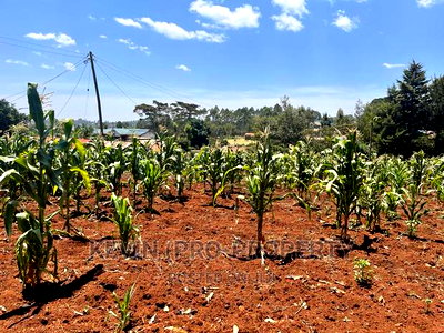 Prime Commercial Plot For Sale In Kikuyu, Gikambura - Image 2