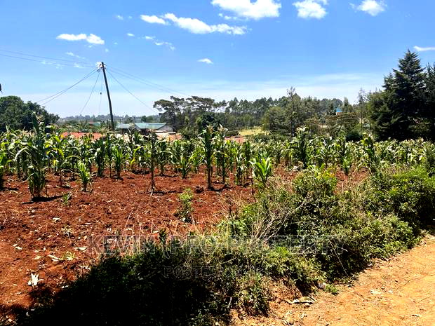 Prime Commercial Plot For Sale In Kikuyu, Gikambura