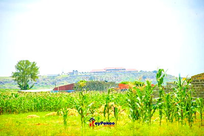 Nakuru Prime Plots - Image 4