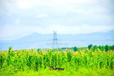 Nakuru Prime Plots - Image 3