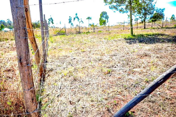 Prime Residential Plot for Sale in Kikuyu