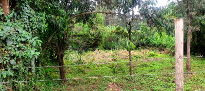 KSh 10M Quarter Acre Plot