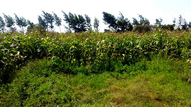 Residential Plots for Sale in Limuru, Mutarakwa Area.