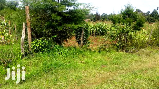 Residential Plots for Sale in Limuru, Mutarakwa Area.