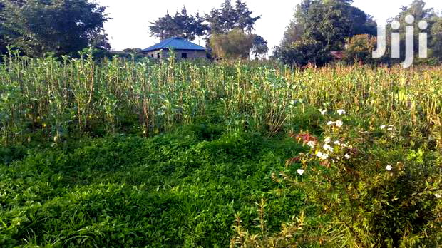 Residential Plots for Sale in Limuru, Mutarakwa Area.