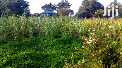 Residential Plots for Sale in Limuru, Mutarakwa Area. - Image 2